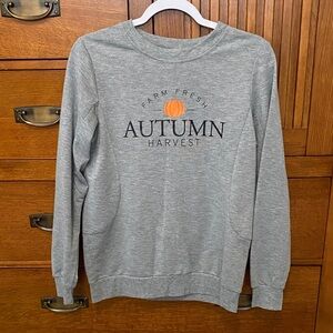 Gray Autumn Harvest Sweater